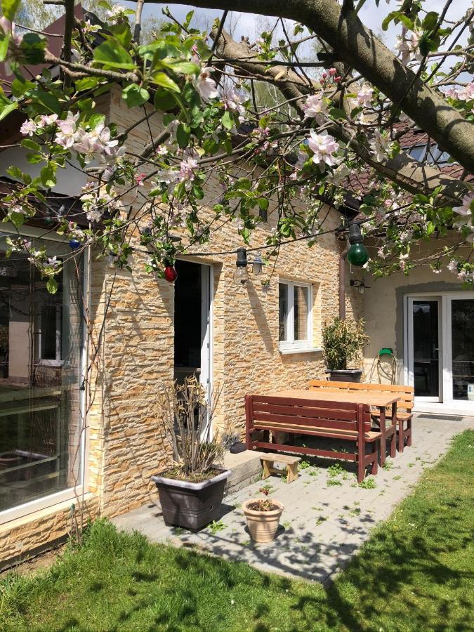 Apartman Marmelada Ctyrkoly Extérieur photo