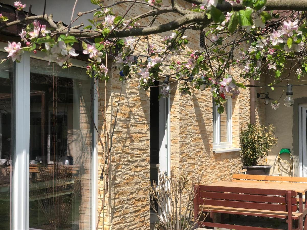 Apartman Marmelada Ctyrkoly Extérieur photo